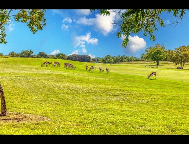 2,825M² VACANT LAND FOR SALE IN BLAIR ATHOLL GOLF ESTATE